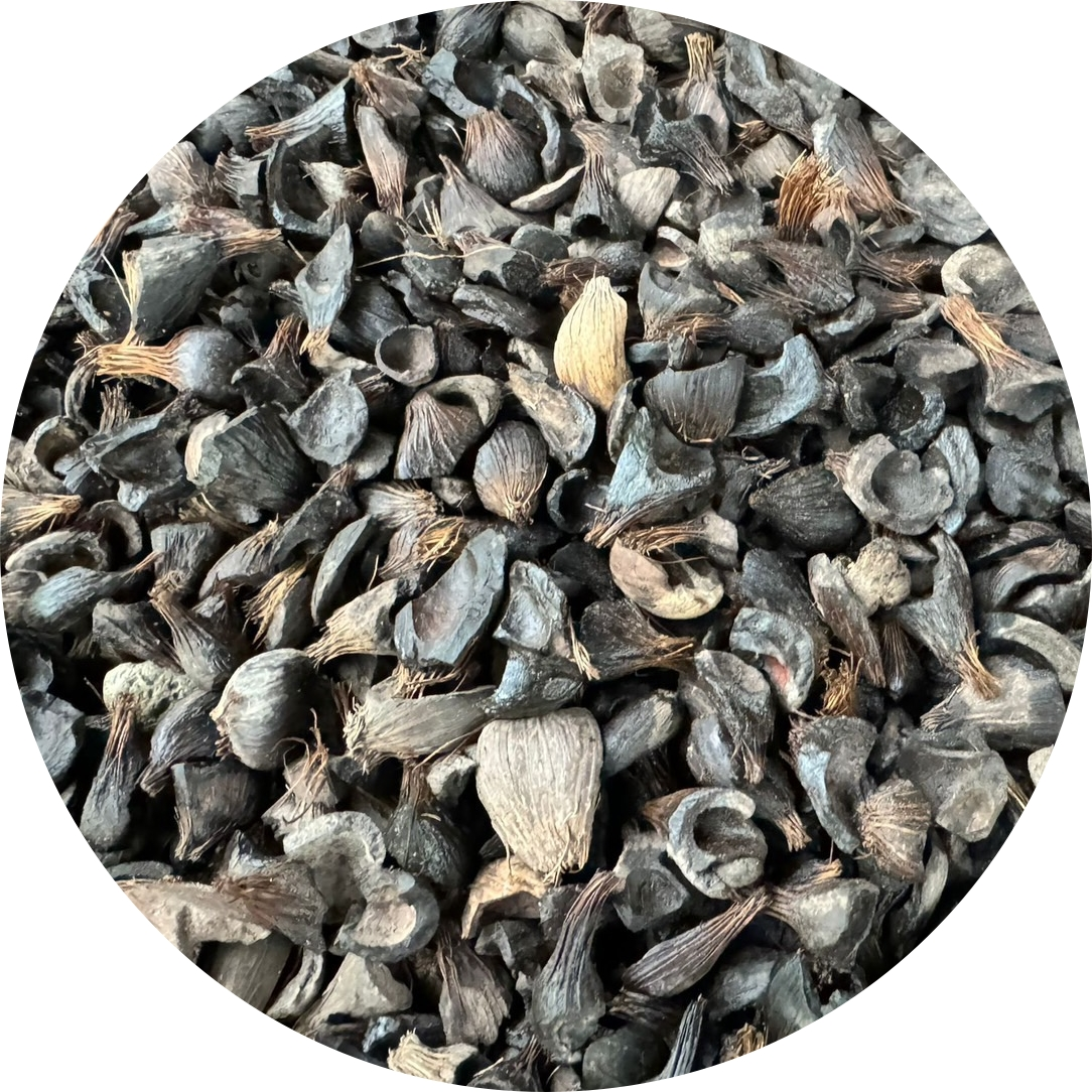 กะลาปาล์ม (Palm Kernel Shell)